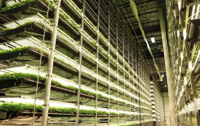 Vertical Farm by AeroFarms